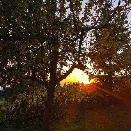 Troidkasten Am Grandsberg