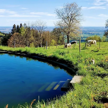 Semesterbostad Troidkasten Am Grandsberg Schwarzach