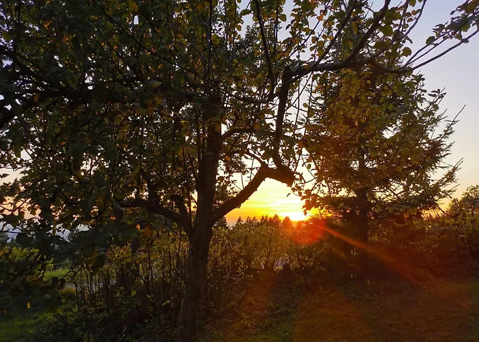 Troidkasten Am Grandsberg